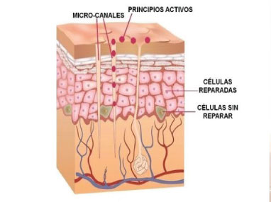 Principios Activos Dermapen